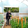 Sustainable Practices in Lane County, Oregon: How Community Organizations are Making a Difference