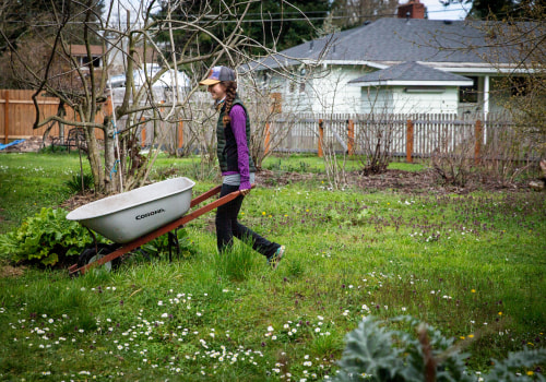 Promoting Healthy Lifestyles in Lane County, Oregon: The Role of Community Organizations