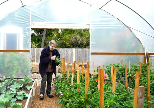 Sustainable Practices in Lane County, Oregon: How Community Organizations are Making a Difference